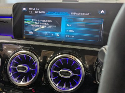 2020 Mercedes-BENZ A-CLASS AMG — миниатюра 30