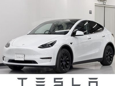TESLA MODEL Y - 1