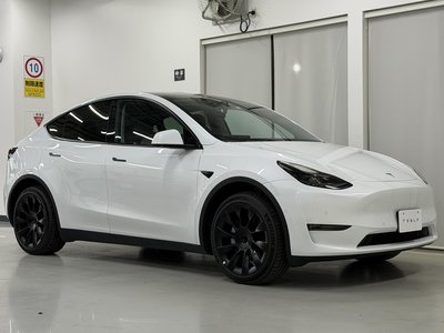 TESLA MODEL Y - 10