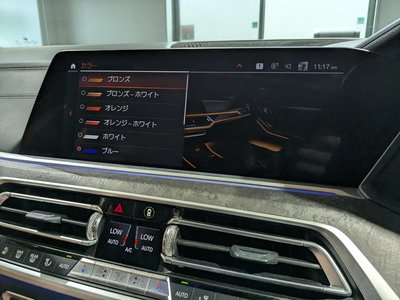 صورة مصغرة 32 لـ 2021 BMW X7