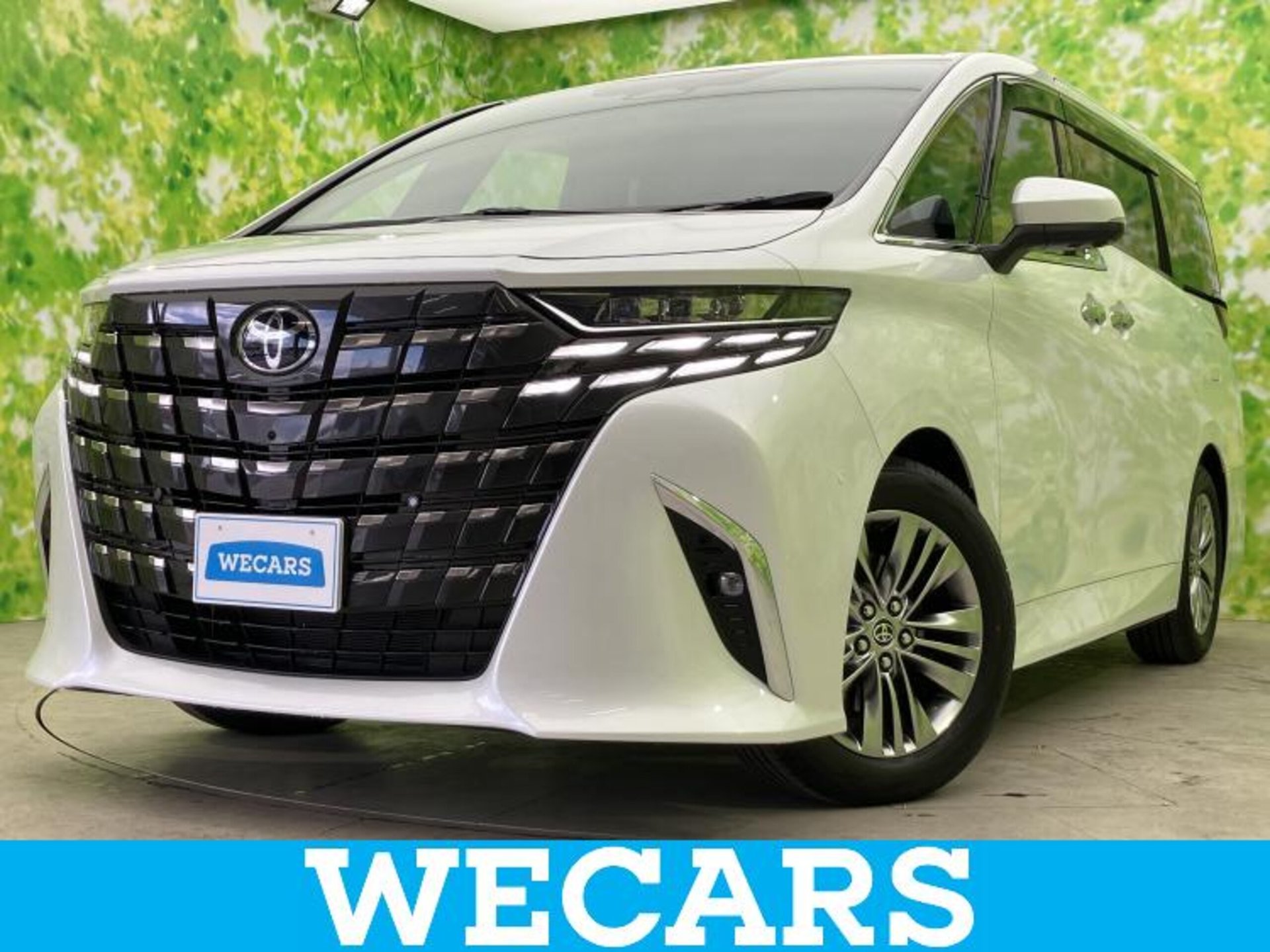 TOYOTA ALPHARD - View 1