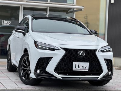 LEXUS NX - 6