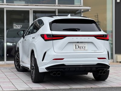 LEXUS NX - 8