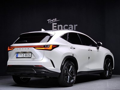 LEXUS NX - 4