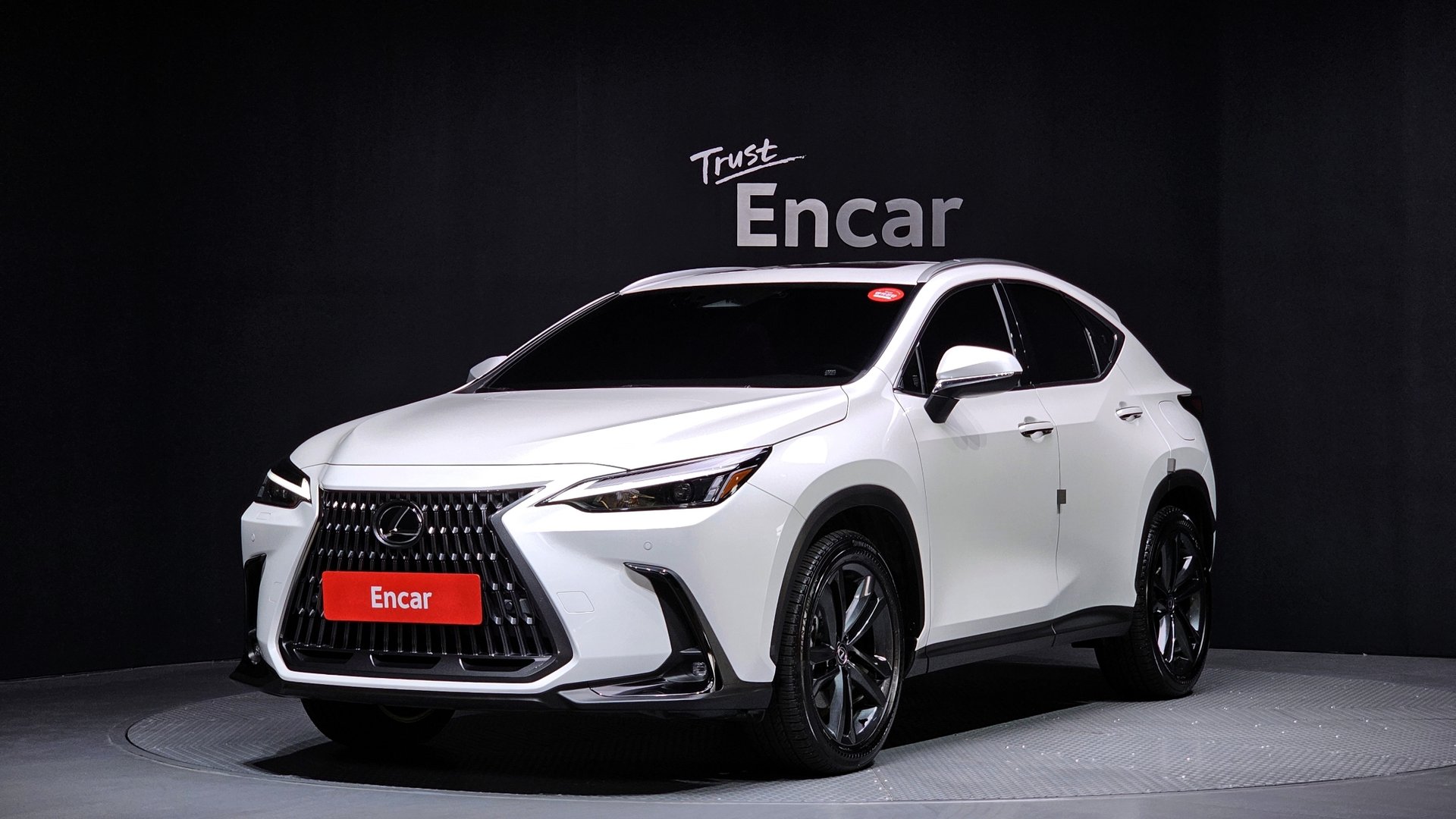 LEXUS NX - View 1