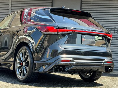 LEXUS RX - 10