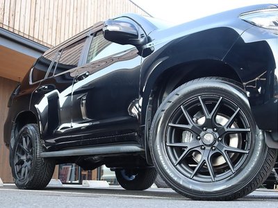 2019 Toyota LAND CRUISER PRADO 照片 6