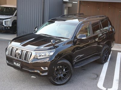 2019 Toyota LAND CRUISER PRADO 照片 5