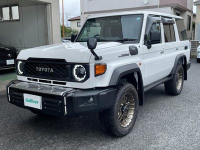 TOYOTA LAND CRUISER 70 - 6