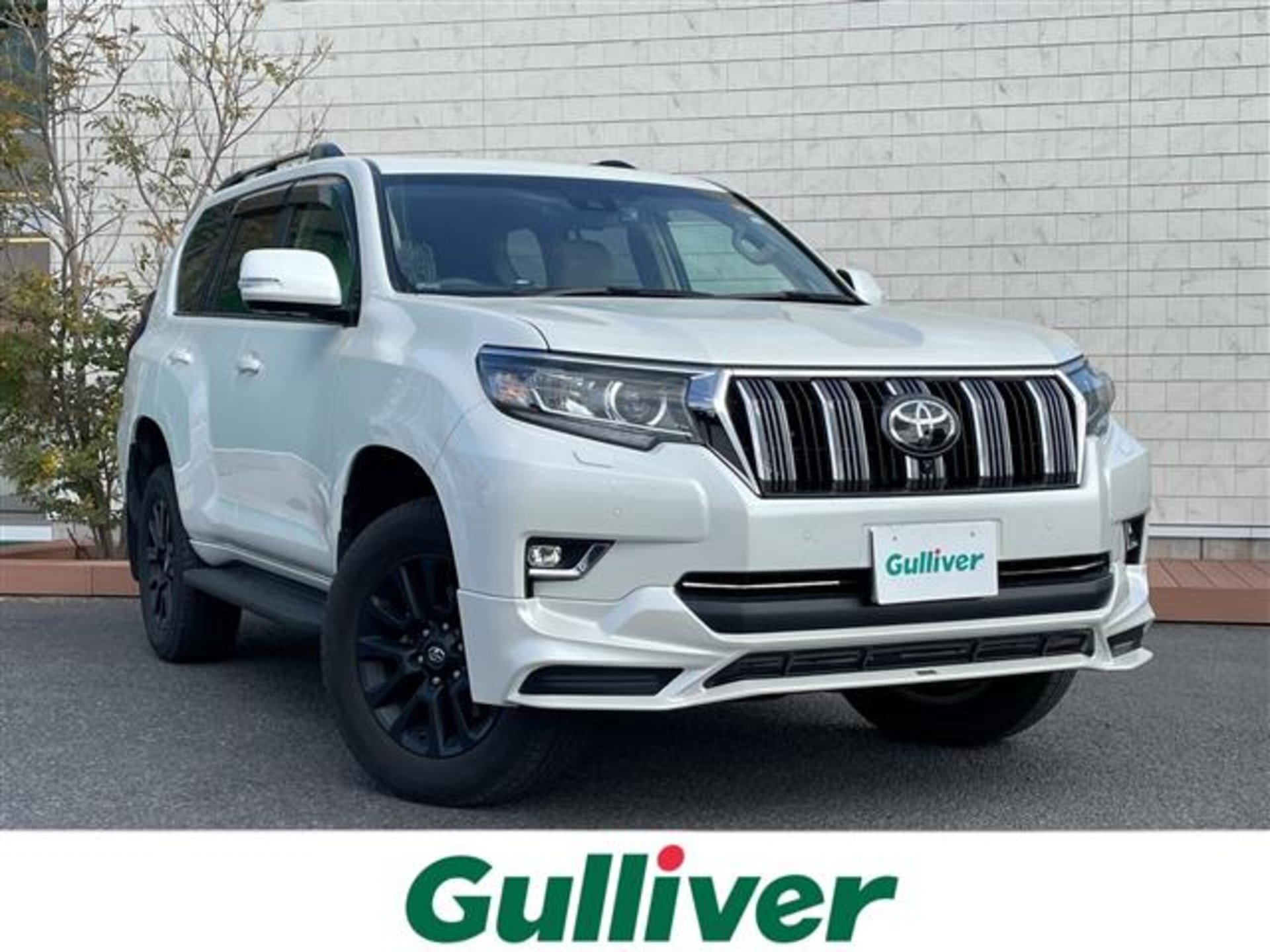 TOYOTA LAND CRUISER PRADO - View 1