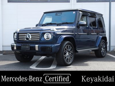 MERCEDES-BENZ G-CLASS - 1