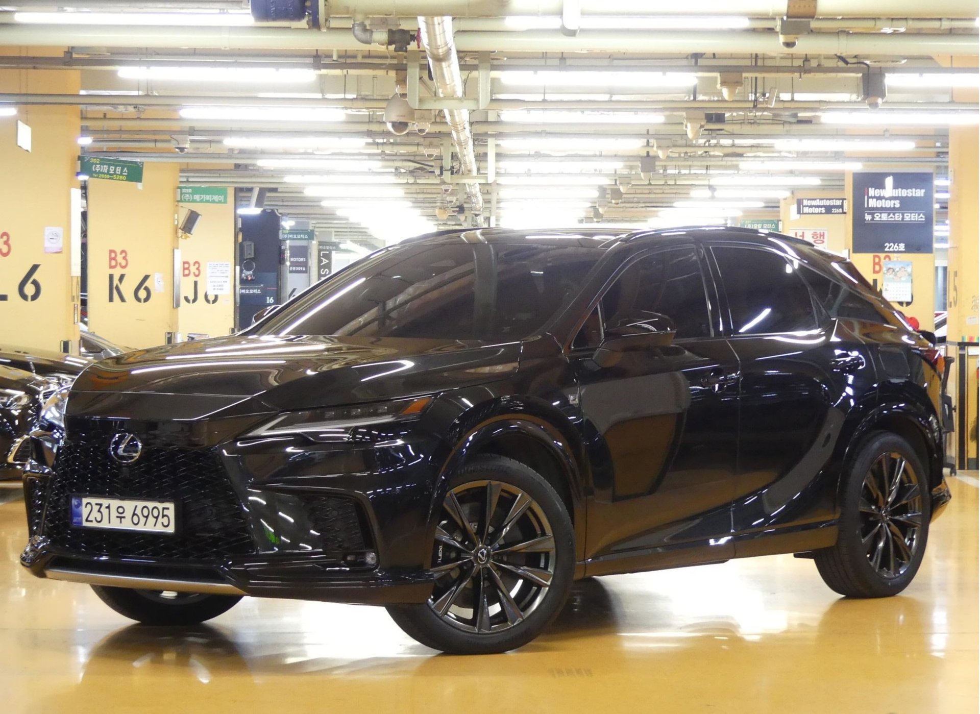 LEXUS RX - View 1