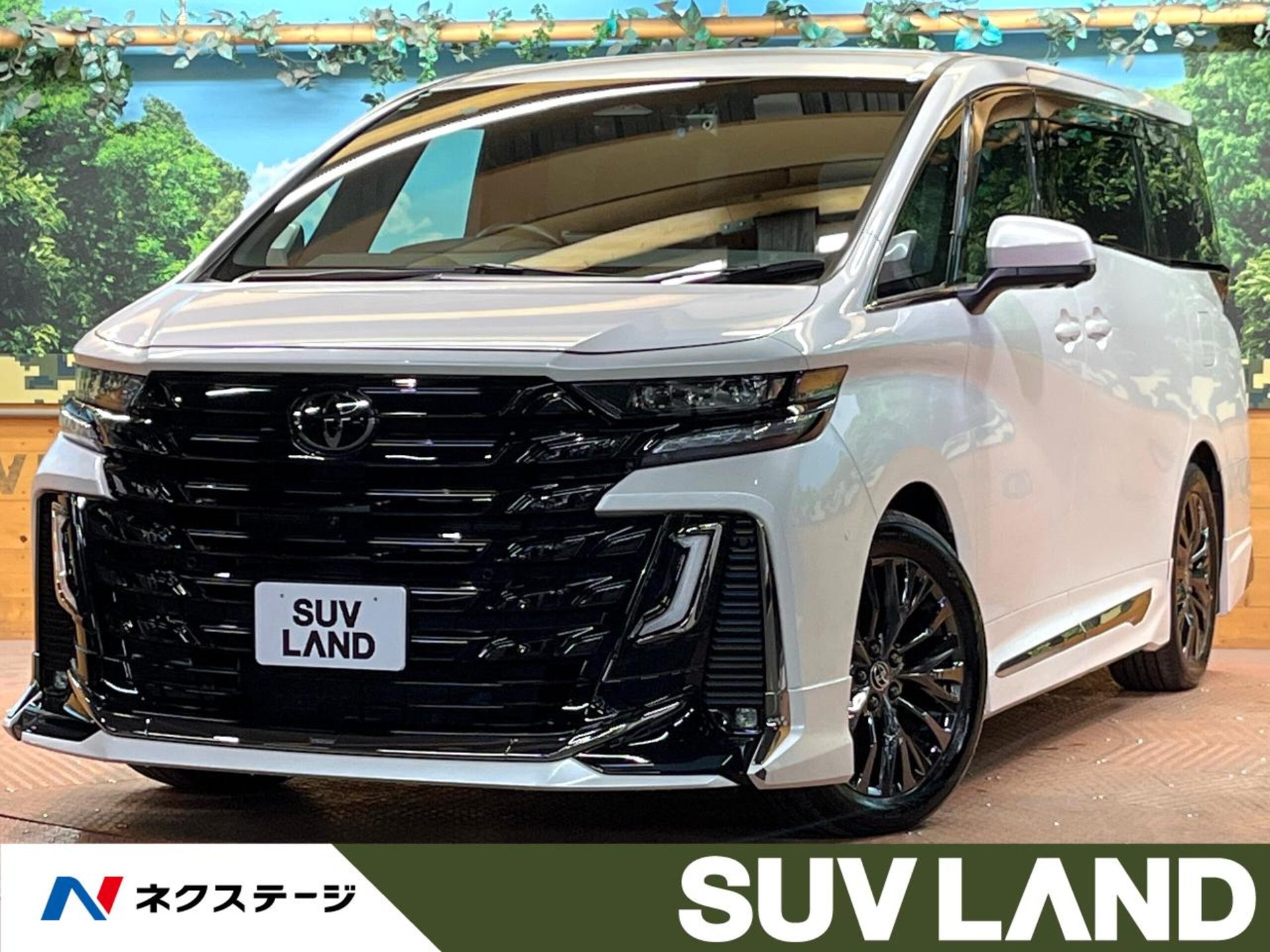 TOYOTA VELLFIRE - View 1