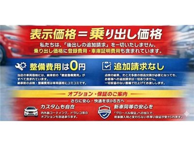 TOYOTA LAND CRUISER 250 - 2