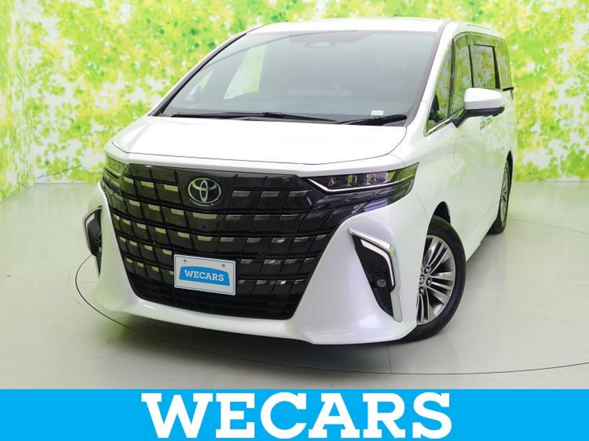 TOYOTA ALPHARD - View 1