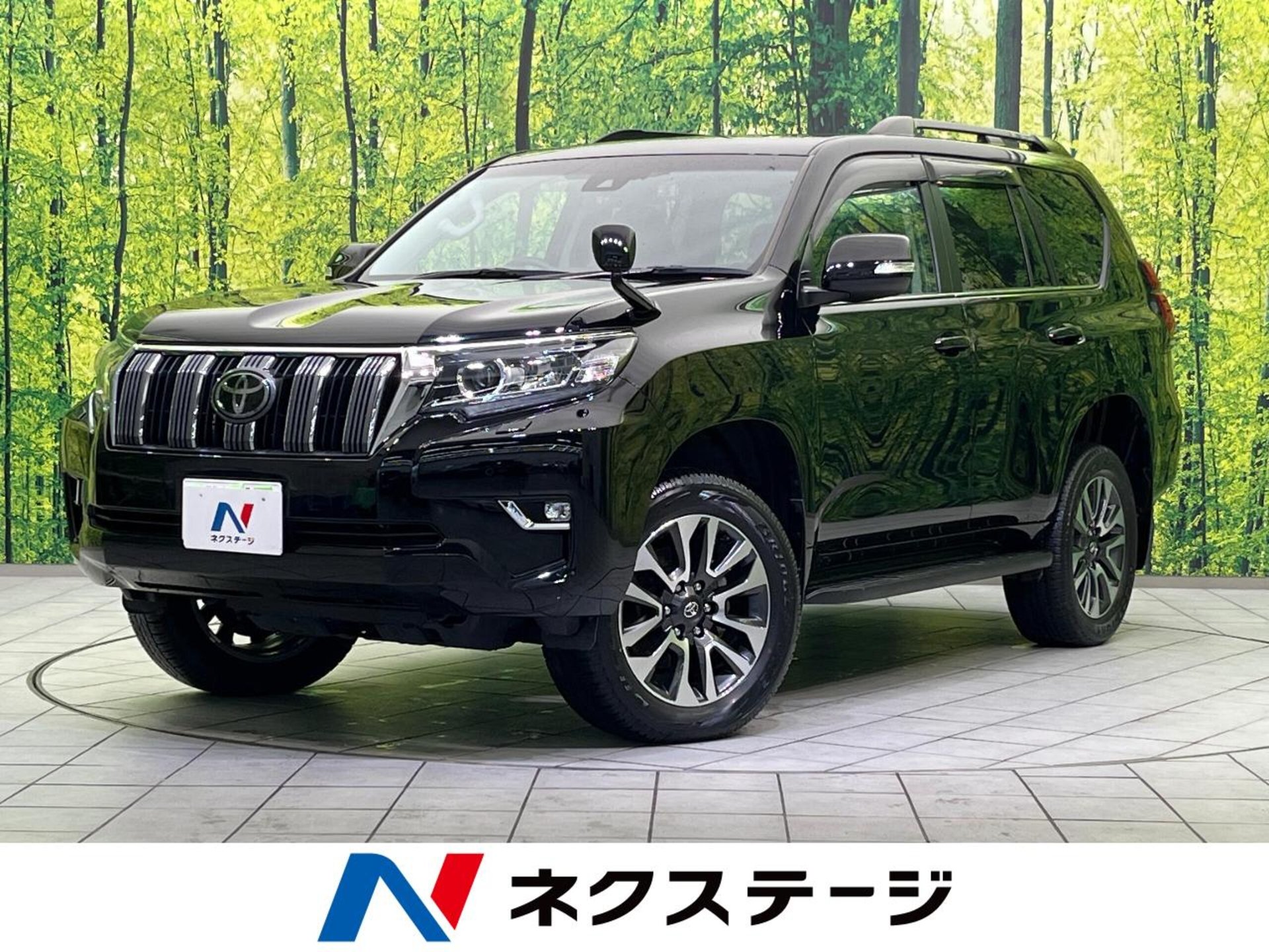 TOYOTA LAND CRUISER PRADO - View 1