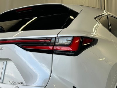 2024 Lexus NX 缩略图 47