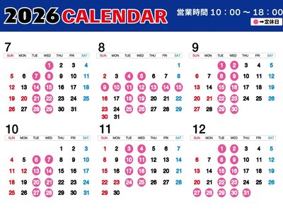 2024 Lexus NX 照片 9