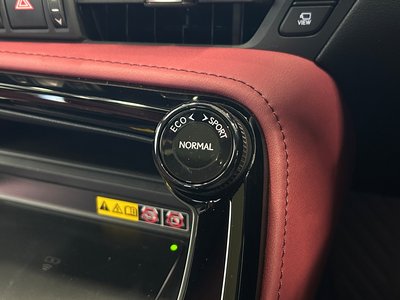 2024 Lexus NX 缩略图 22