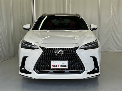 2024 Lexus NX 缩略图 50