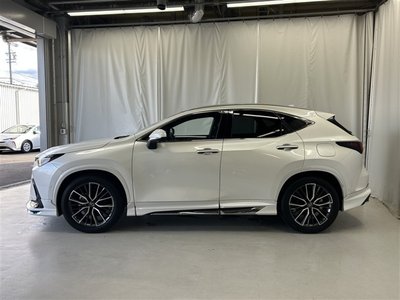 2024 Lexus NX 缩略图 51