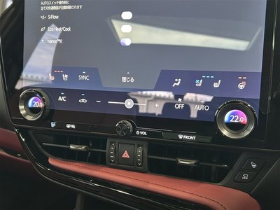 2024 Lexus NX 缩略图 21