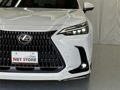 2024 Lexus NX 缩略图 45