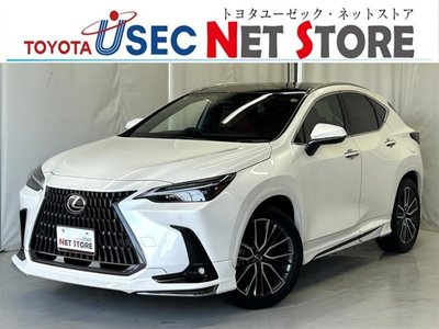 2024 Lexus NX 照片 1