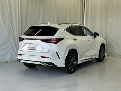 2024 Lexus NX 缩略图 53