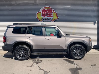 2025 Toyota LAND CRUISER 250 — миниатюра 26
