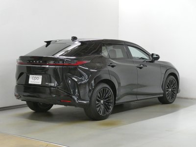 2023 Lexus RZ 照片 5