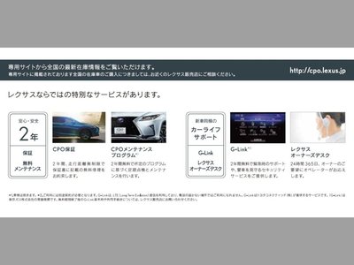 2023 Lexus RZ 照片 3