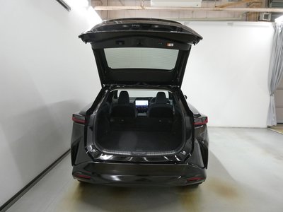 2023 Lexus RZ thumbnail 30