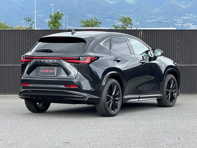 LEXUS NX - 10
