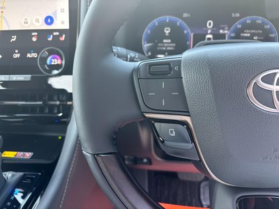 2025 Toyota ALPHARD 缩略图 31