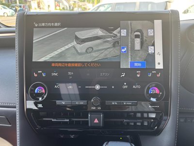 2025 Toyota ALPHARD 缩略图 43