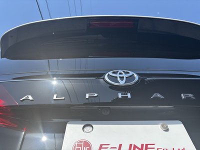 2025 Toyota ALPHARD 缩略图 15