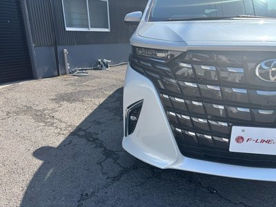 TOYOTA ALPHARD - 8