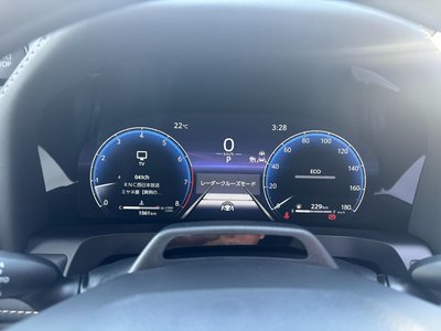 2025 Toyota ALPHARD 缩略图 33