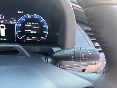 2025 Toyota ALPHARD 缩略图 30