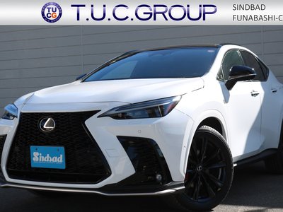 LEXUS NX - 1