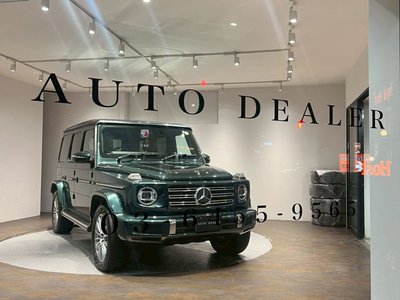 MERCEDES-BENZ G-CLASS - 6