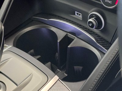 2019 ALFA Romeo STELVIO 缩略图 41