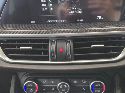 2019 ALFA Romeo STELVIO 缩略图 40