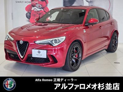 2019 ALFA Romeo STELVIO photo 1