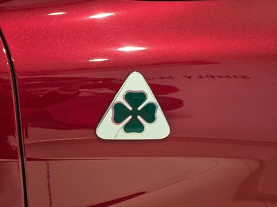 2019 ALFA Romeo STELVIO 缩略图 11