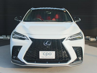 2024 Lexus NX 照片 10