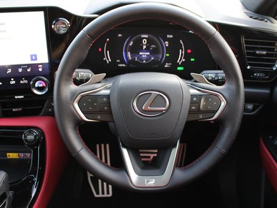 2024 Lexus NX 缩略图 19