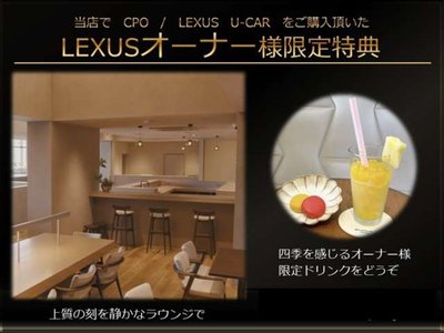 2024 Lexus NX 照片 6