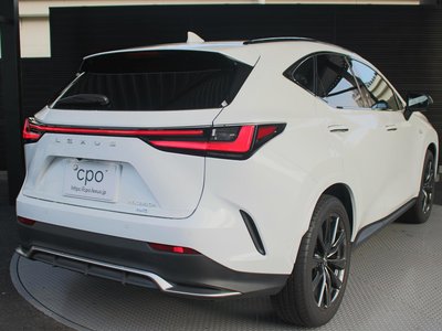 2024 Lexus NX 照片 7